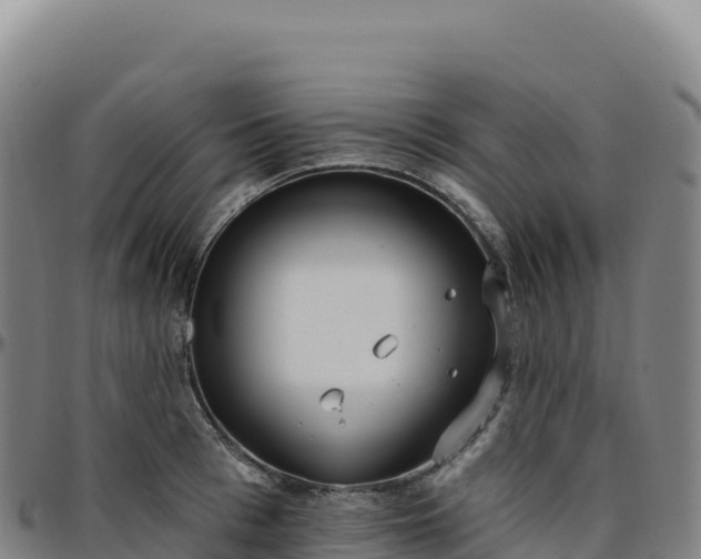 X0000096490993200801311614