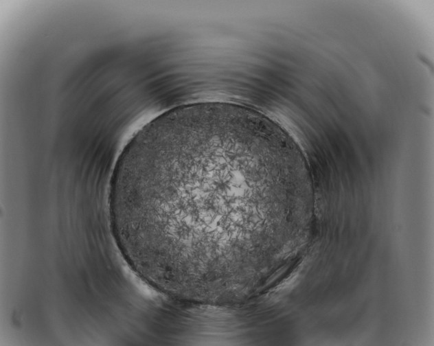 X0000096490995200801311614