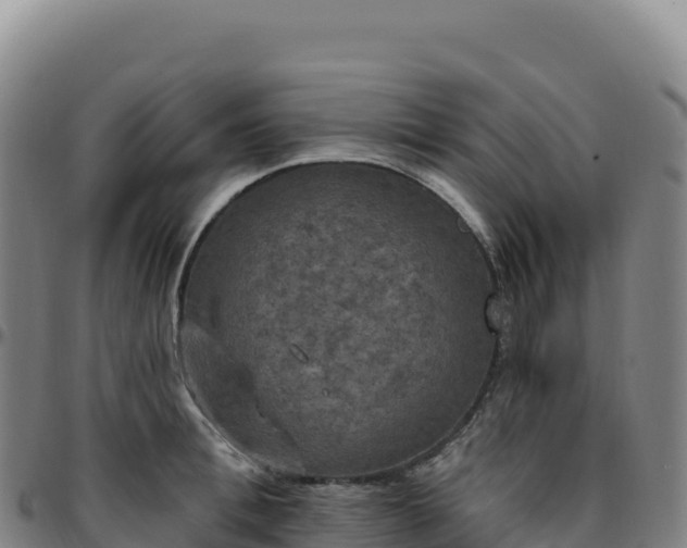 X0000096490996200801311614