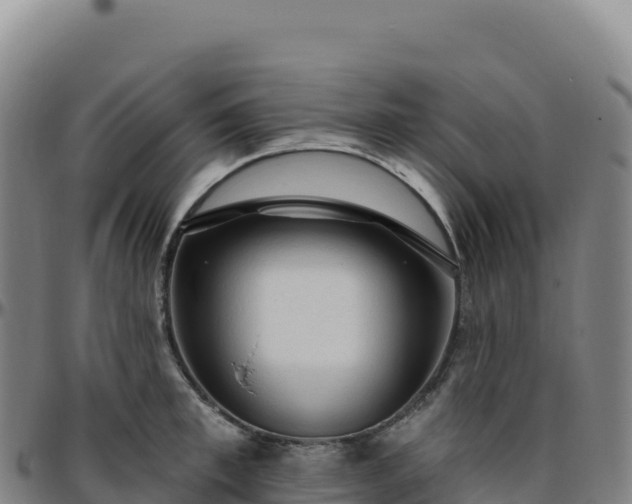 X0000096490997200801311614