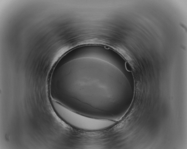 X0000096490998200801311614