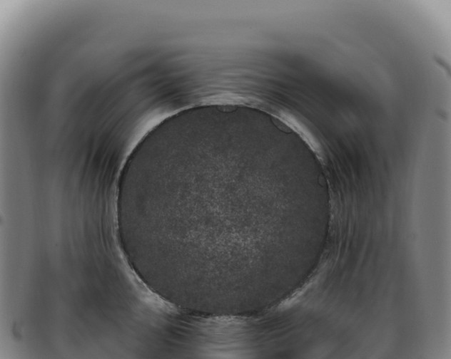 X0000096491000200801311614