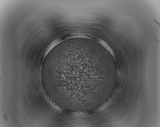 X0000096491002200801311614