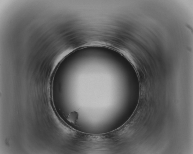 X0000096491003200801311614