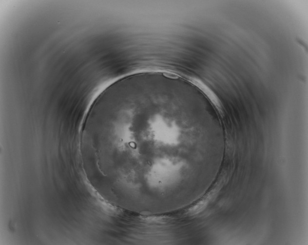 X0000096491004200801311614