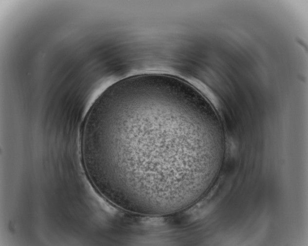 X0000096491006200801311614