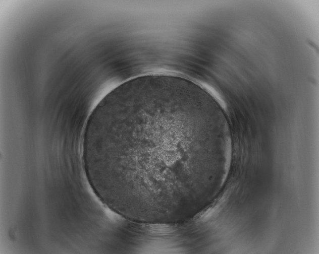 X0000096491007200801311614