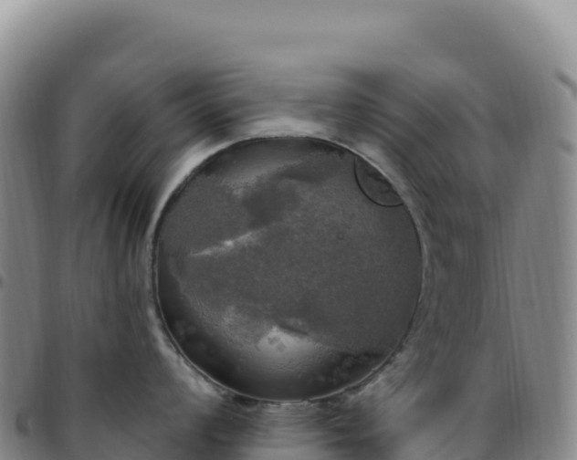 X0000096491008200801311614