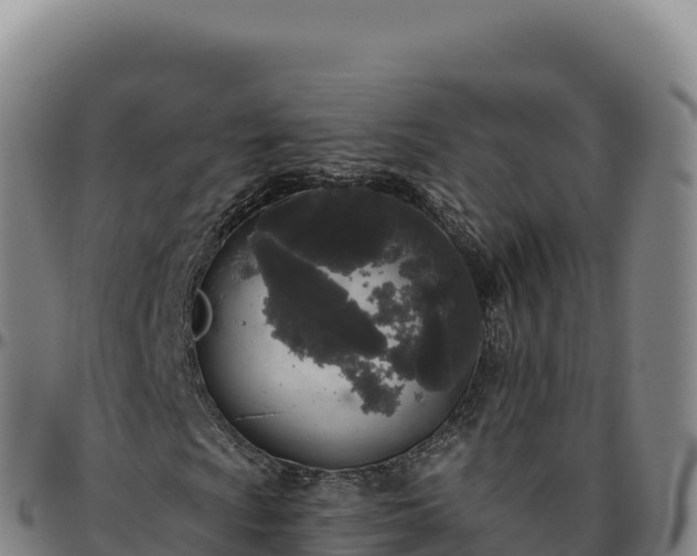 X0000096491009200801311613