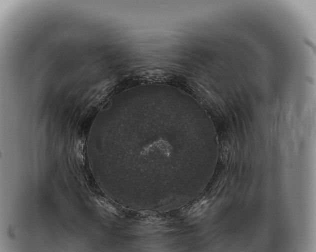 X0000096491010200801311613