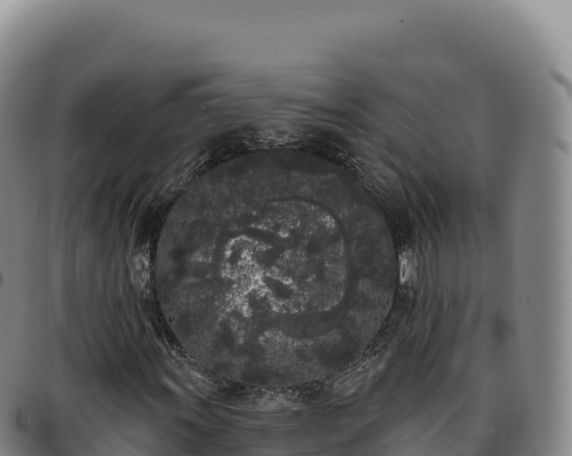 X0000096491011200801311613