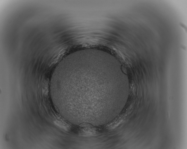 X0000096491012200801311613