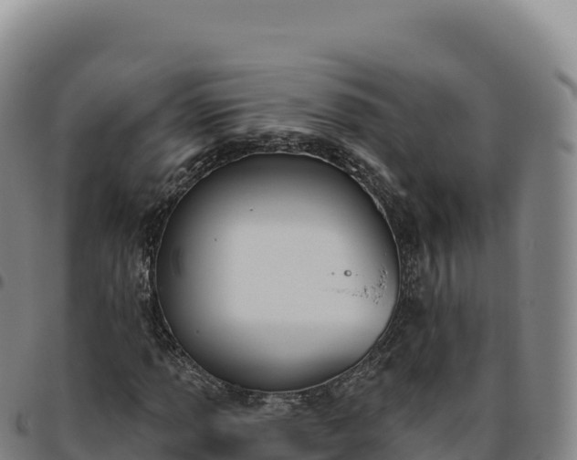 X0000096491013200801311613