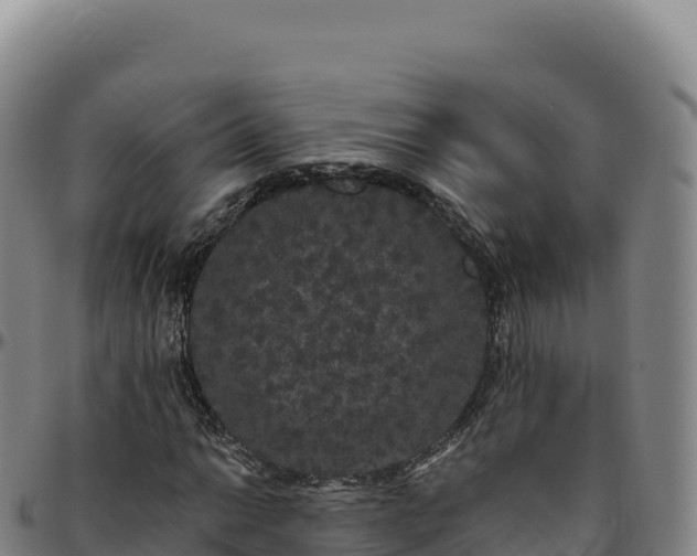 X0000096491014200801311613