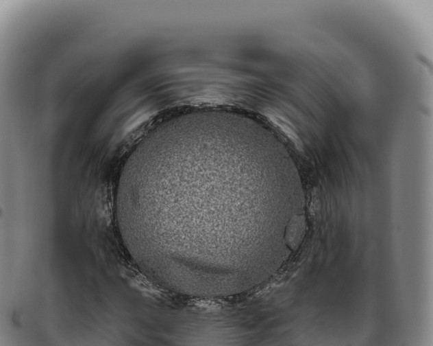 X0000096491015200801311613