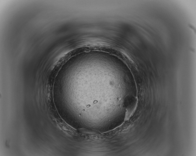 X0000096491016200801311613