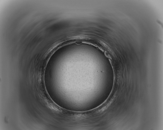 X0000096491017200801311613