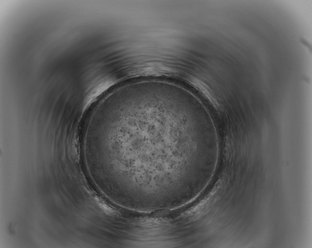 X0000096491018200801311613