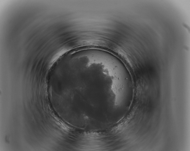 X0000096491019200801311613