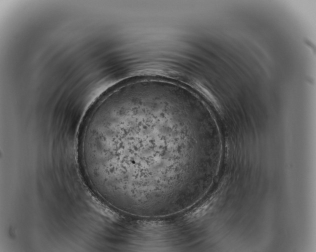 X0000096491020200801311613