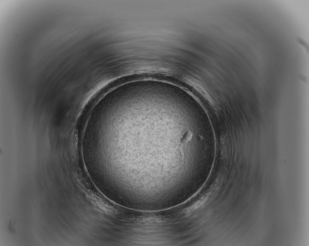 X0000096491021200801311613