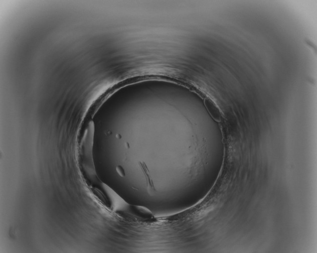 X0000096491024200801311613