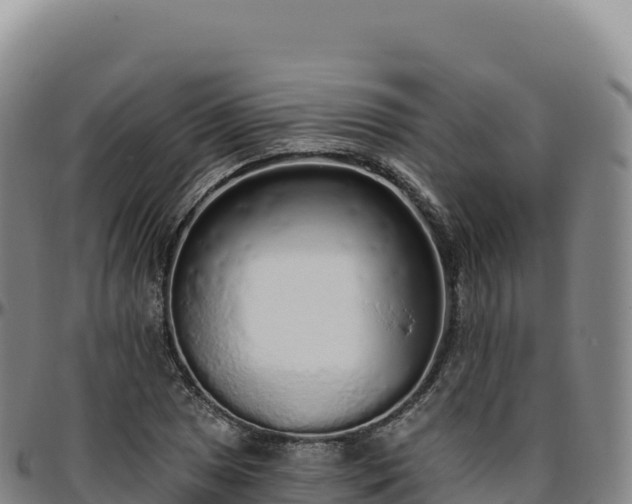 X0000096491025200801311613