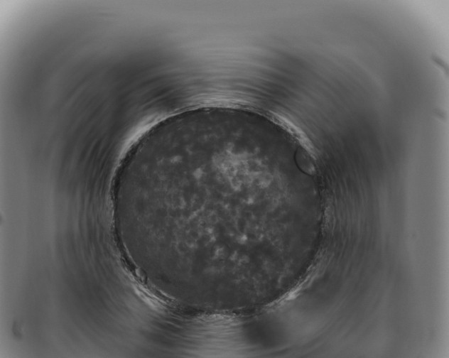 X0000096491027200801311613