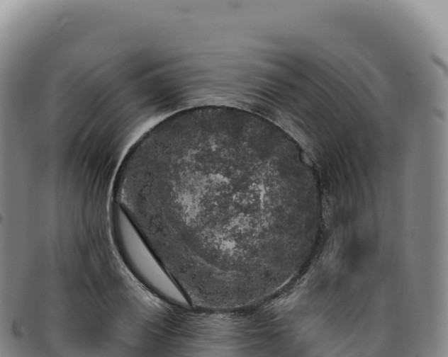 X0000096491028200801311613