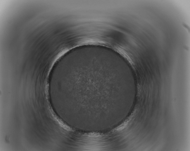 X0000096491029200801311614