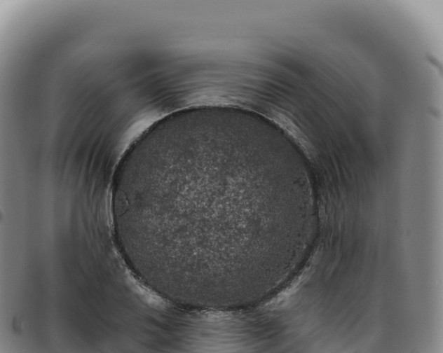 X0000096491030200801311614