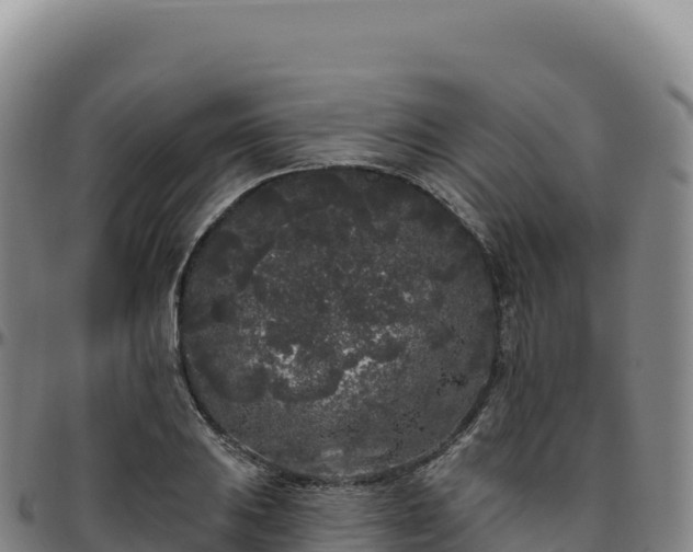 X0000096491031200801311614