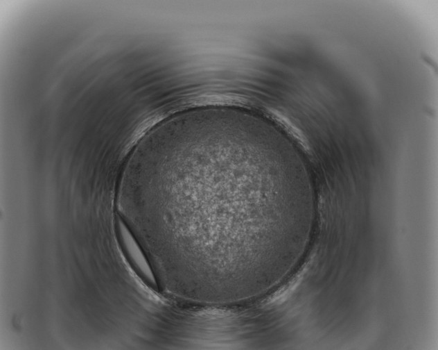 X0000096491033200801311614