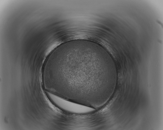 X0000096491034200801311614