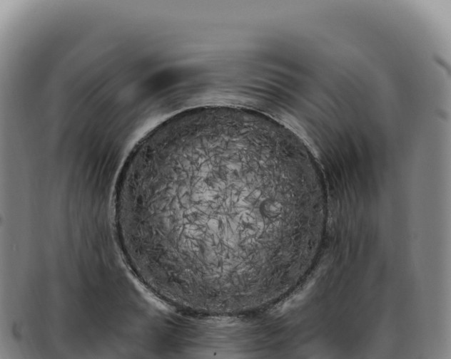 X0000096491037200801311614