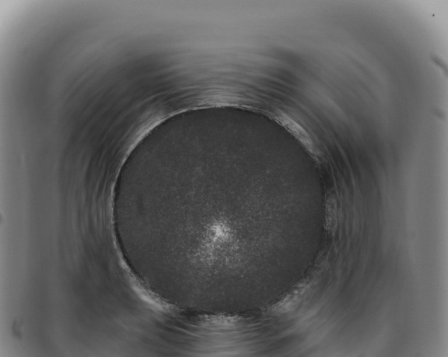 X0000096491039200801311614