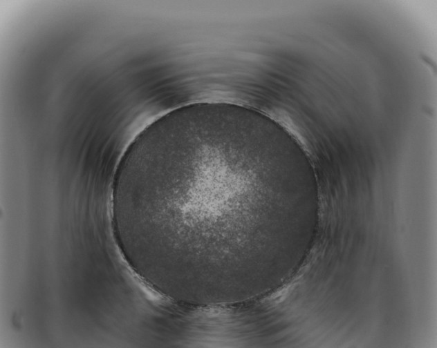 X0000096491040200801311614