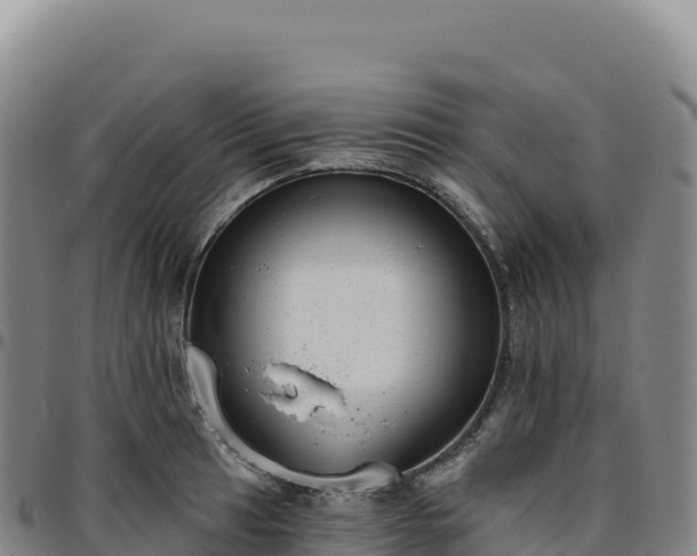 X0000096491041200801311614