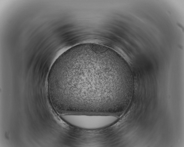 X0000096491044200801311614