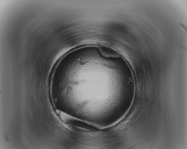 X0000096491045200801311614