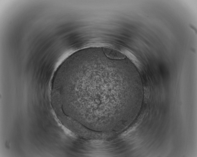 X0000096491046200801311614