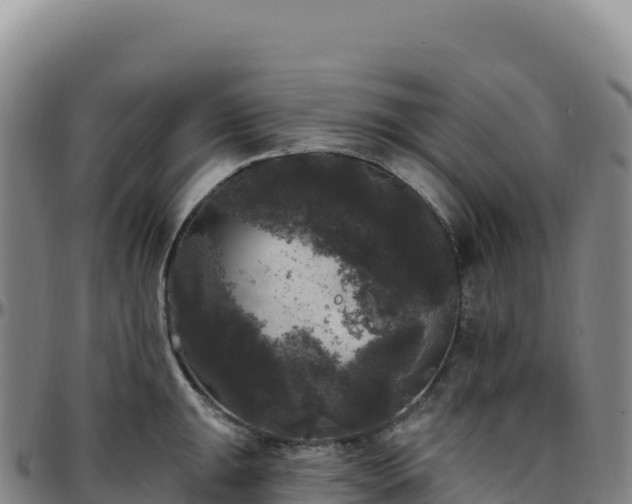 X0000096491047200801311614