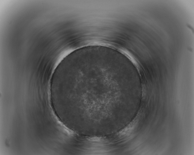 X0000096491048200801311614