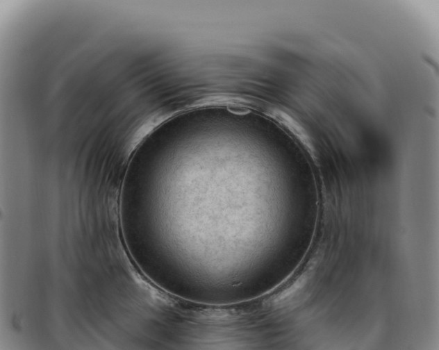 X0000096491049200801311614