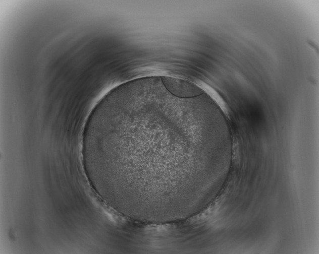 X0000096491051200801311614