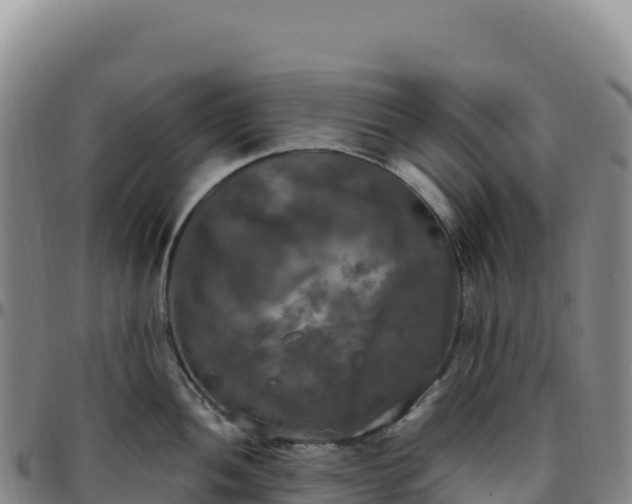 X0000096491052200801311614