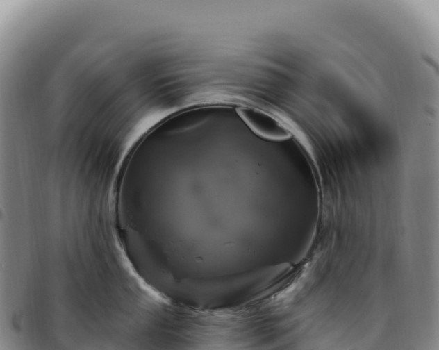 X0000096491053200801311614