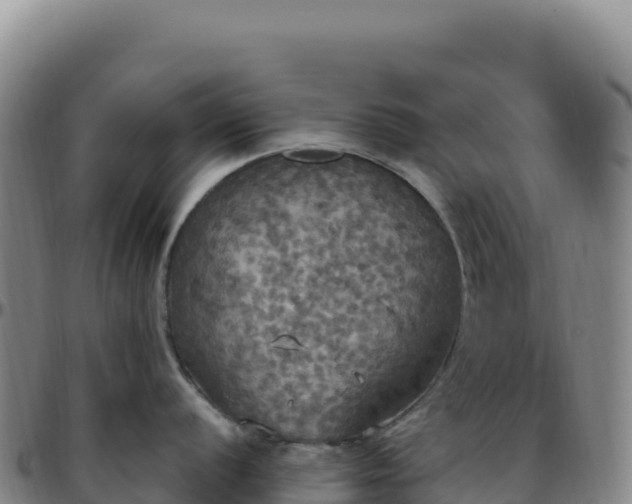 X0000096491056200801311614