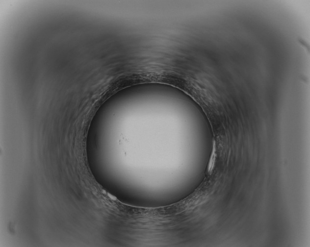 X0000096491057200801311613