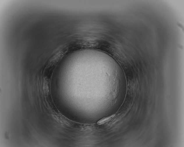 X0000096491058200801311613